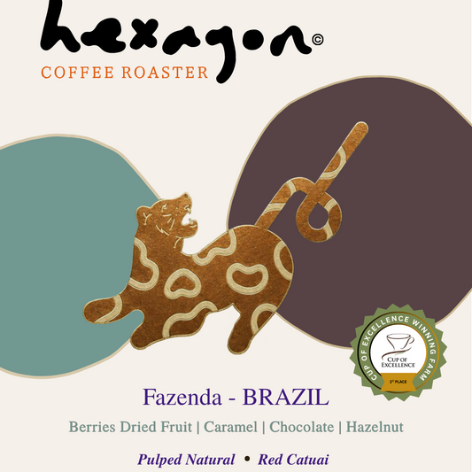 NEW Fazenda Bioma Brazil - Cup of Excellence 1st place