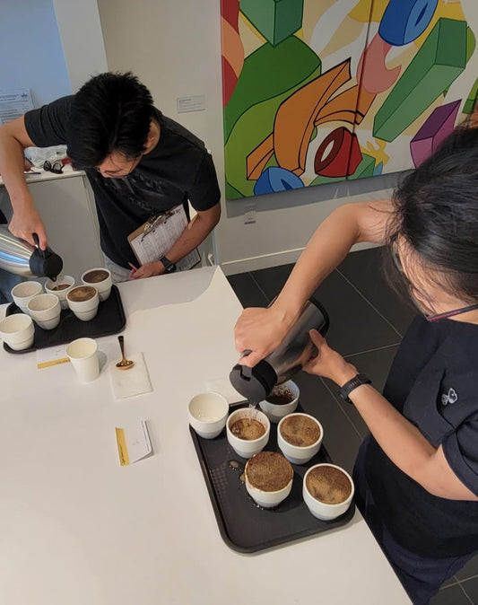 Cupping Tasting Workshop* 1h30 duration