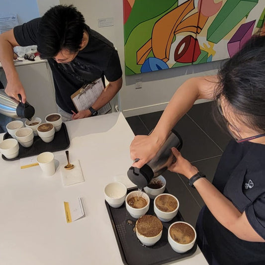Cupping Tasting Workshop* 1h30 duration