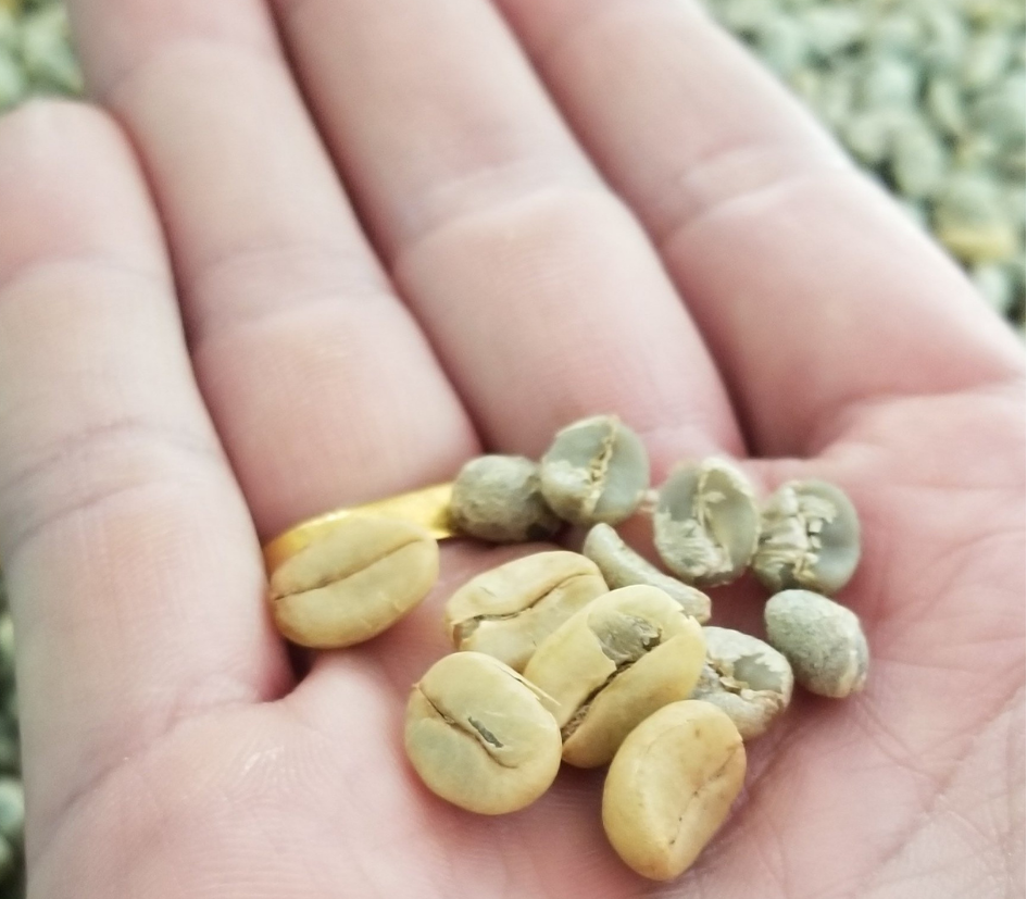 Chiang Mai - 100g/250g