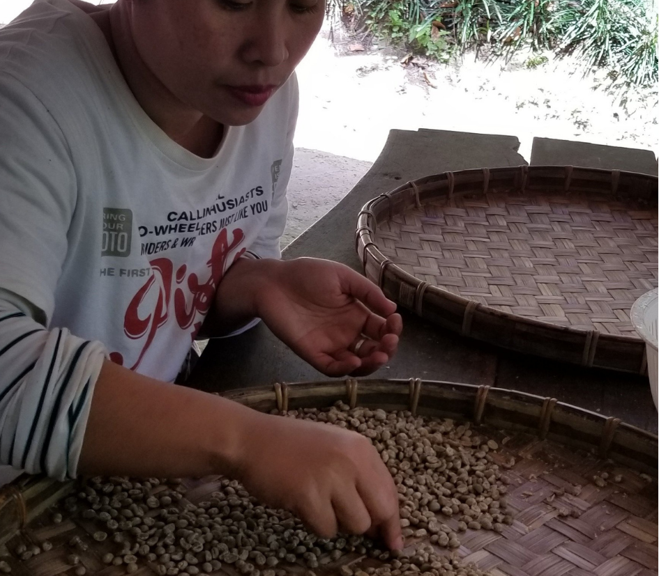 Chiang Mai - 100g/250g