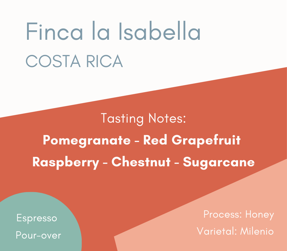 New Coffee - Finca la Isabella  - 250g/5lb