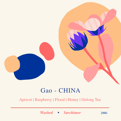 NEW Gao CHINA - 200g