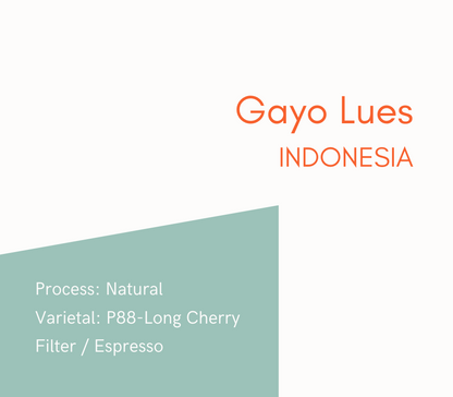 Gayo Lues - 100g/250g