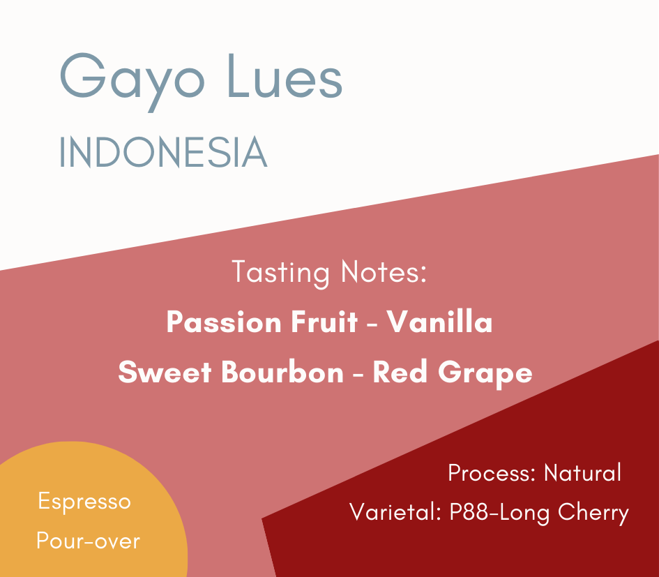 Gayo Lues - 100g/250g