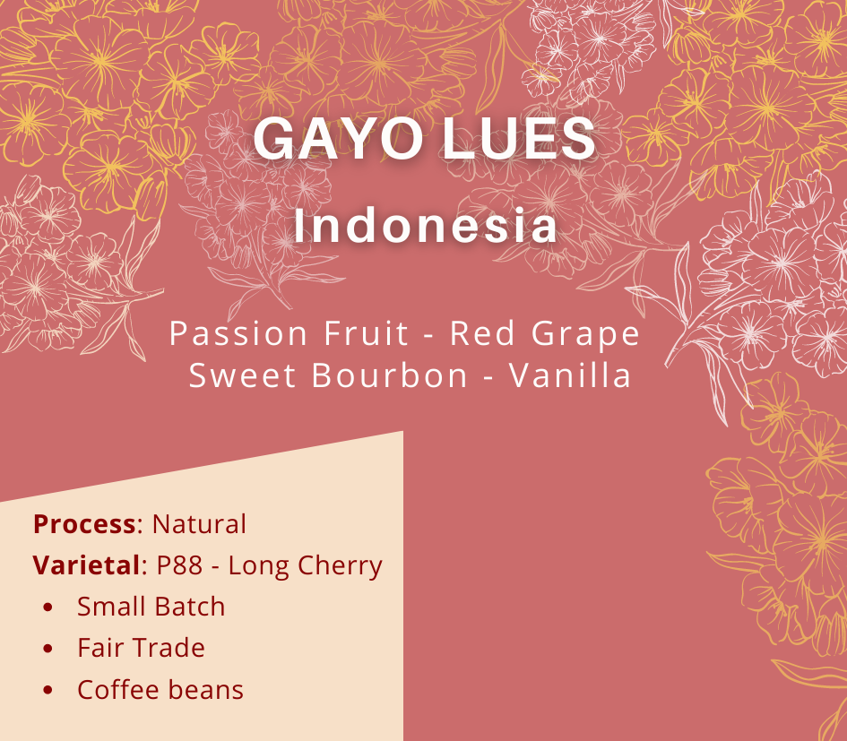 Gayo Lues - 250g/5lb