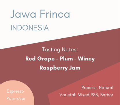 New Coffee - Jawa Frinsa - 250g/5lb