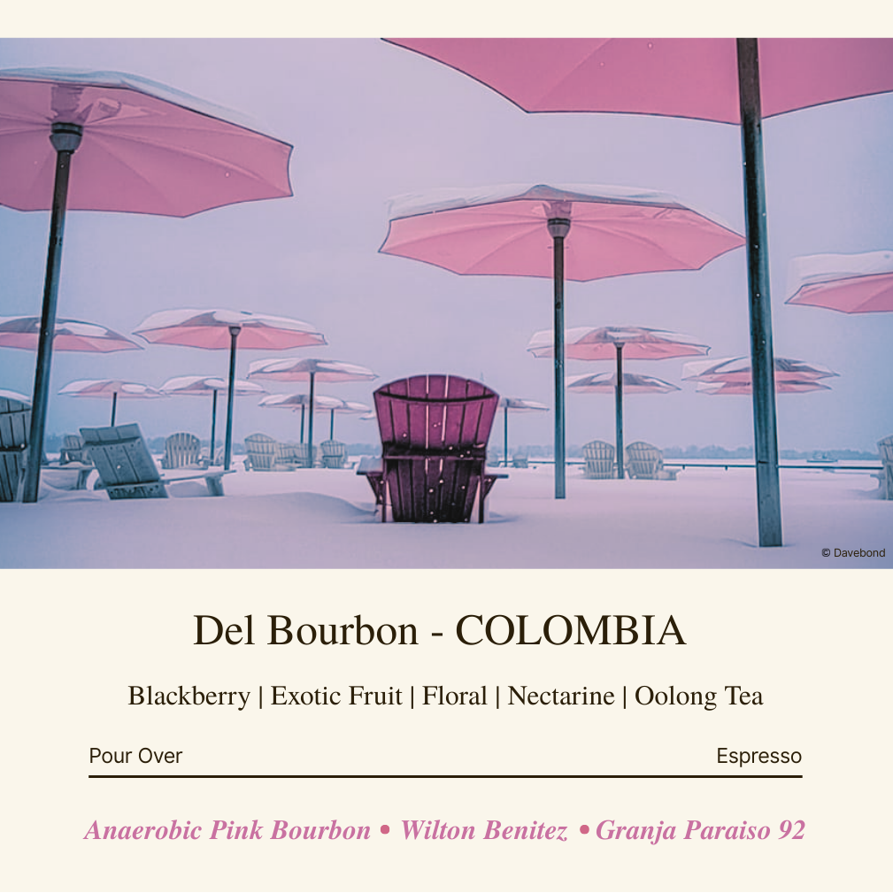 Del Bourbon COLOMBIA - El Paraiso 92