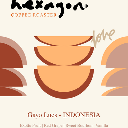 Gayo Lues - 250g/5lb