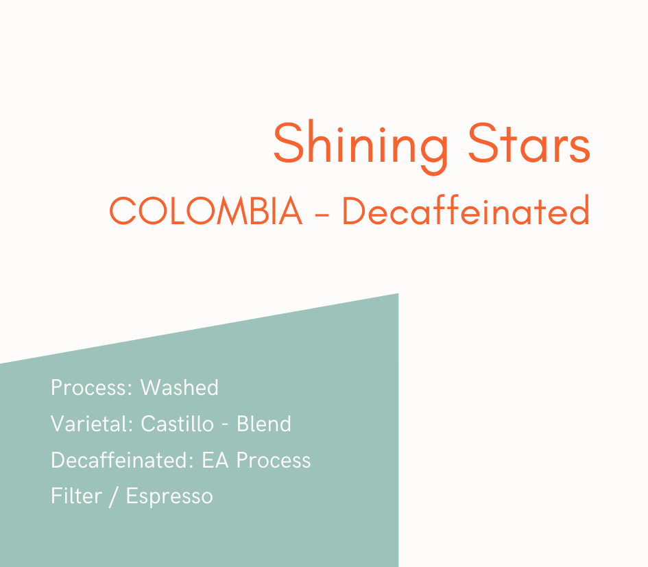 Shining Stars - Café décaféiné