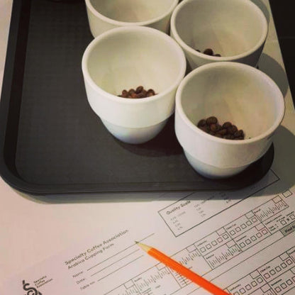 Cupping Tasting Workshop* 1h30 duration