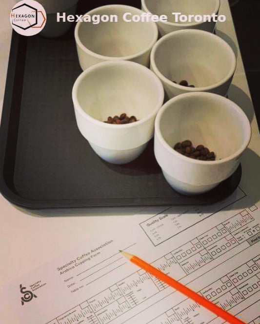 Cupping Tasting Workshop* 1h30 duration