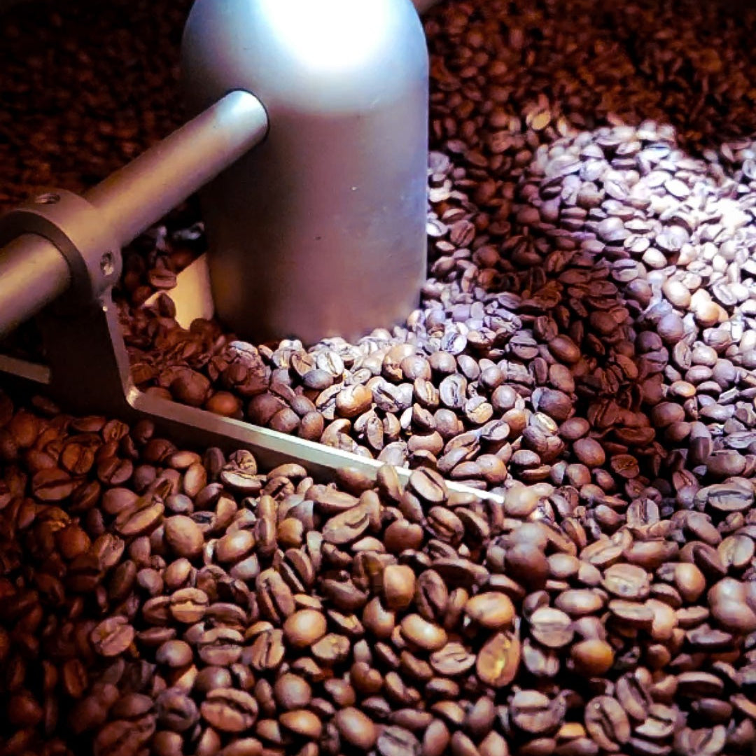Roasting Workshop* 5 Hours or Private 7 Hours