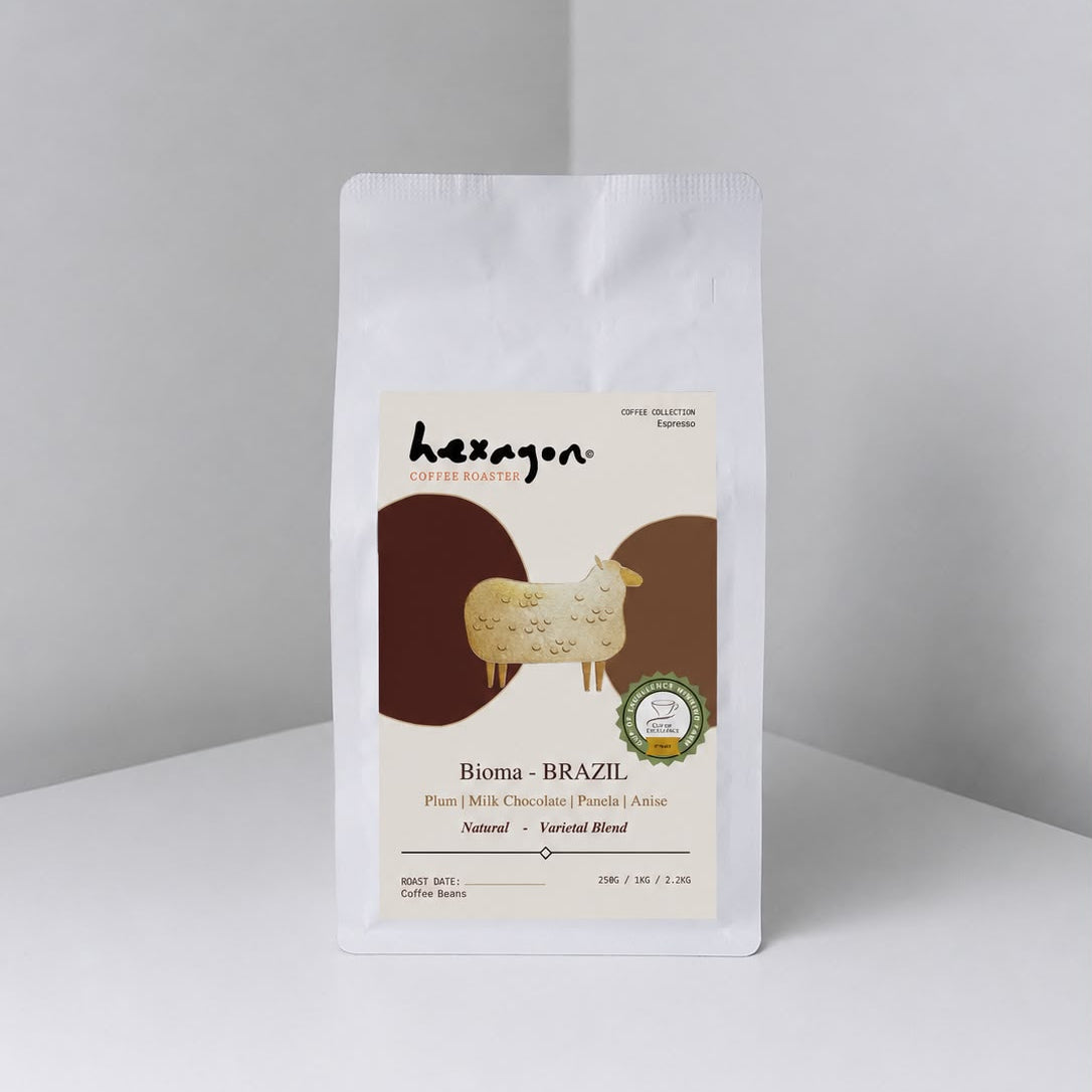 Nouveau Café - Cerrado Mineiro - 250g/5lb