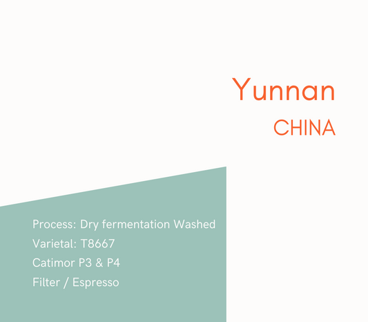 New Coffee - Yunnan - 250g/5lb