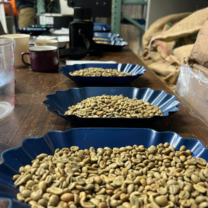 Roasting Practice Workshop* 4 Hours